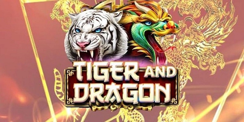 Hướng dẫn cách chơi game rồng hổ tại WW88