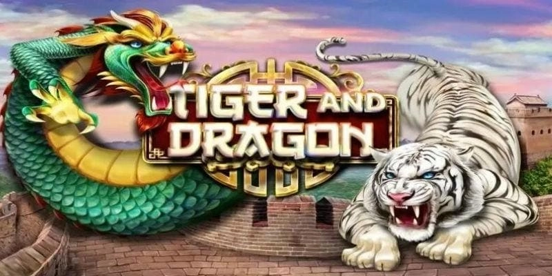 Tổng quan game rồng hổ online