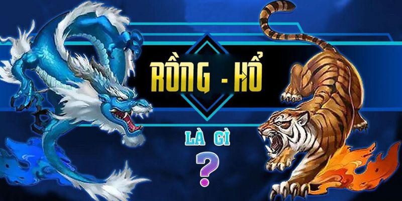 Rồng Hổ WW88 – Trò chơi may rủi đỉnh cao tại sảnh Live Casino